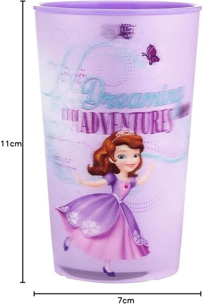 AKDC DSNY BOTTLE 7CMX7CMX11CM purple