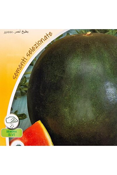 AKDC Watermelon Seeds Black