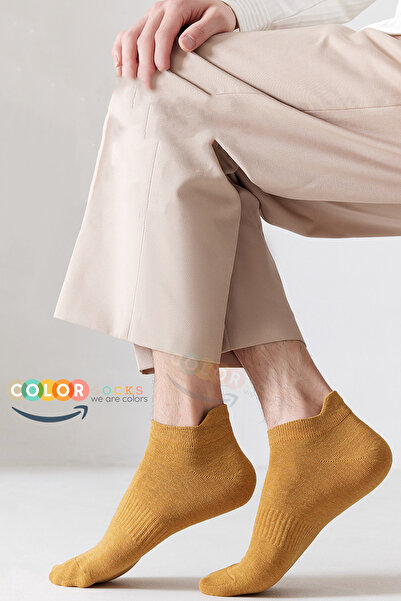 Color Socks 7 Çift Günlük Erkek Patik Çorap Seti (KAYDIRMAZ LASTİK)