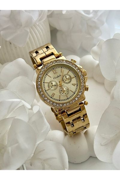 Forsining -Elizabeth-(Gold Color) Women's Wrist Watch with Stones