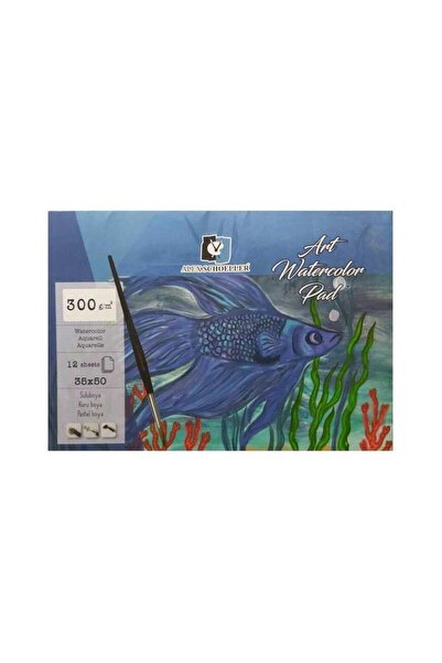 Alex Schoeller Watercolor Notebook 35X50 cm Art 12'Li Adhesive 300 Gr Alx-885...