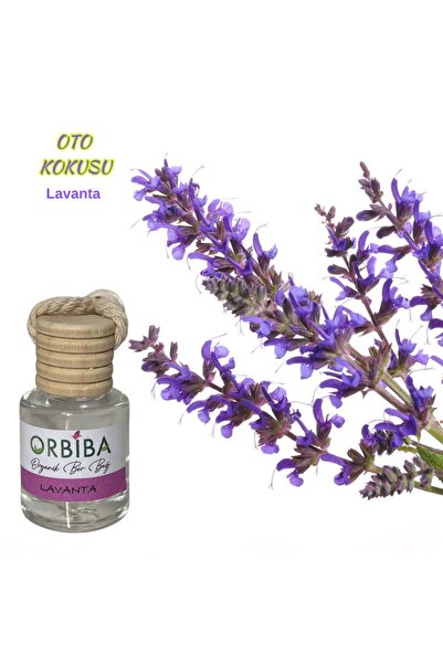 Oto Kokusu Lavanta
