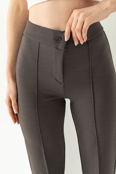 LEBRA Women's Dark Smoked High Waist Ribbed Stitched Lycra Knitted Trousers