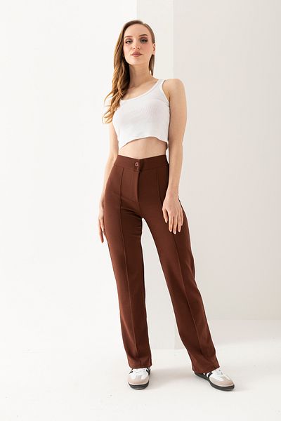 LEBRA Women's Brown High Waist Ribbed Stitched Lycra Knitted Trousers