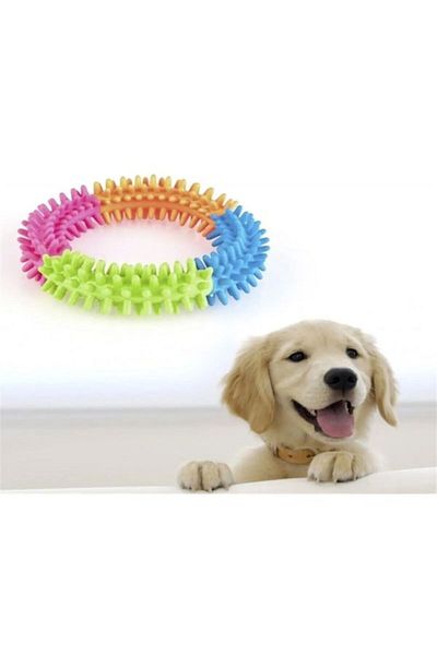Dream Plus 2-Piece Dog Play Set Serrated Bagel and Bone Shaped Teeth Cleaner Scratcher Fun Toy