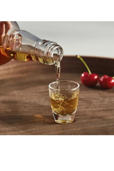 IKEA Premium Ürün Kaliteli Üretim Dayanıklı Kullanışlı Modern Tasarım 3 Cl 4 Adet Likör Bardağı HUMLAFISK