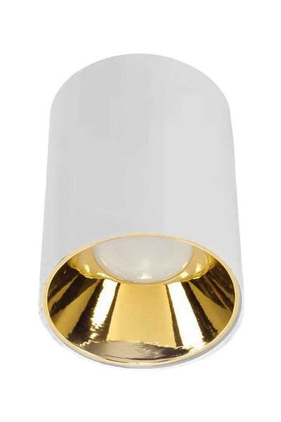 ACK Surface Mounted Decorative Armature Gold Reflector White Metal Case