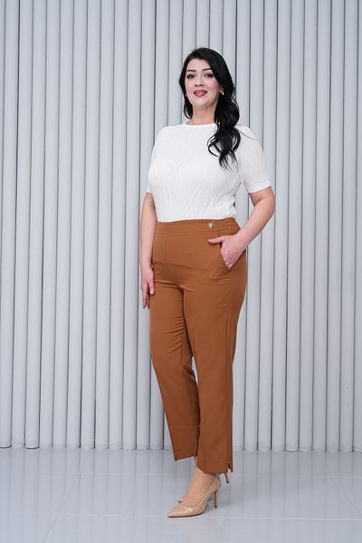JANSO GROUP - Women's Plus Size Brown Color Cloth Pants