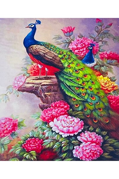 EleganTShoP 5D Yapışan Boncuk Goblen 40 x 50 cm Mozaik Tablo Pano 77099