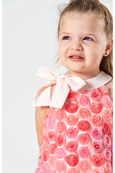 Baby Animals Kız Bebek Kız Çocuk Doğum Günü Parti Düğün Elbise Kısa Kol Kolsuz Fırfırlı Tüllü Tütülü Tütü Astarlı