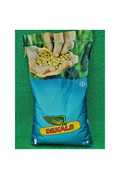 DEKALB DKC6044 50,000 ADET MISIR TOHUMU(2025)