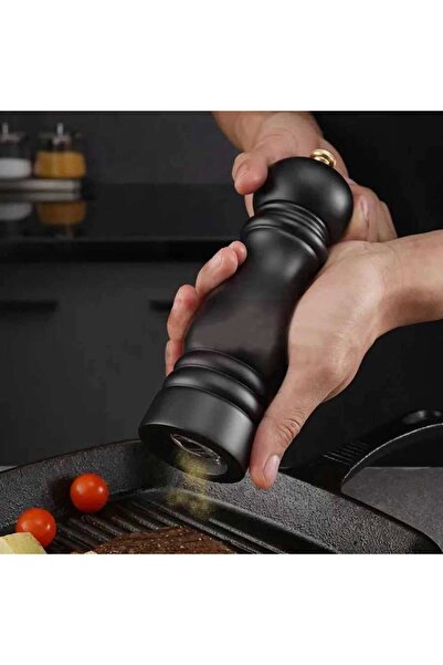 Epinox Acrylic Wood Spice Mill |   Steel Salt Grinder 13.5 cm (Dca-135)