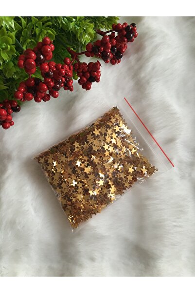 pulsan 50gr Yıldız pleksi plastik yazma oya pulu gold