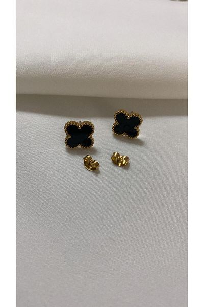 staınless steel Van Cleefi̇ White Steel Earrings