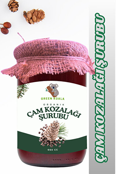 Green Koala Çam Kozalağı Şurubu 660 cc . Akciğer Dostu Şekersiz ve Katkısız