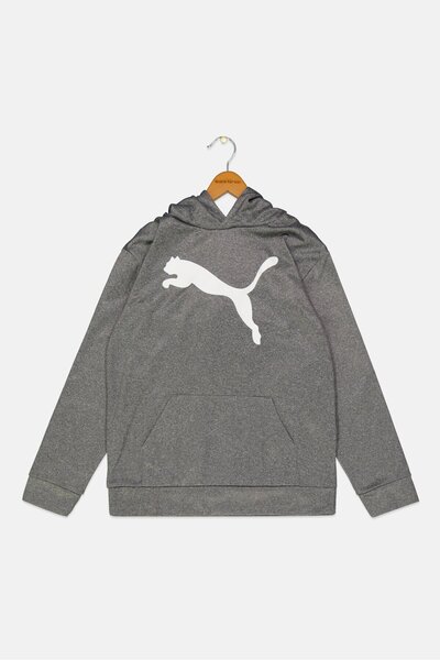 Puma هودي بأكمام طويلة مناسب للأولاد من ملابس رياضية، رمادي باهت