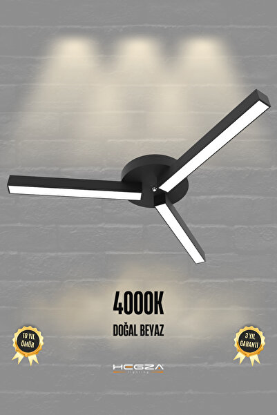 Hegza Lighting Admira ( Siyah Kasa, Doğal Beyaz Işık ) Modern Plafonyer Led A...