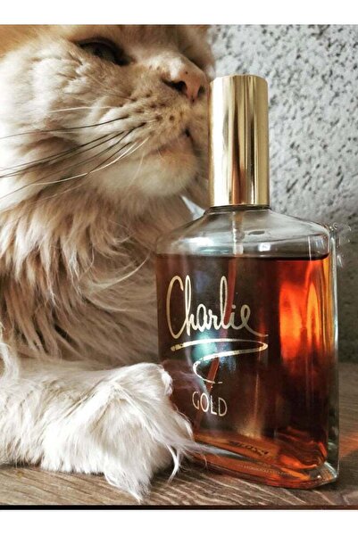 Revlon Charlie Edt 100ml - Charlie Toilet Perfume 100ml