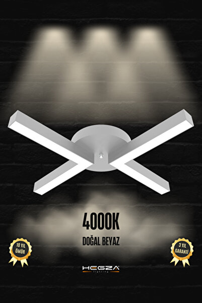 Hegza Lighting Contento ( Gri Kasa, Doğal Beyaz Işık ) Modern Plafonyer Led A...
