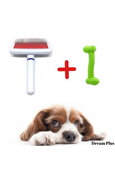 Dream Plus Set of 2 Red Wire Pet Brush & Bone Shaped Teeth Scratching and Cleaning Toy