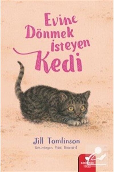 Evine Dönmek Isteyen Kedi