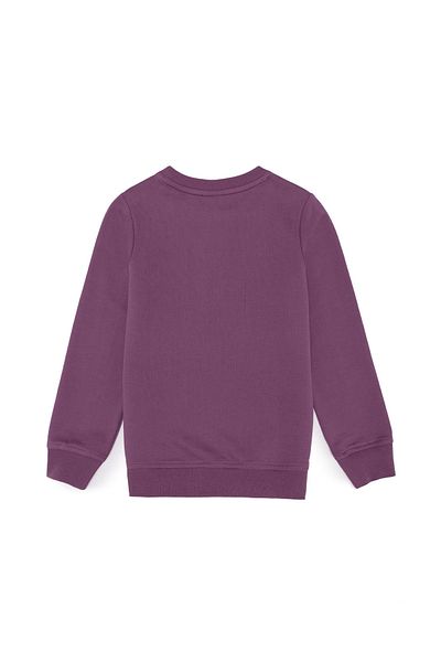 U.S. Polo Assn. Boy's Violet Sweatshirt