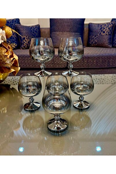 Vakıf home Bohemia Crystal Titanium Silver Footed Coffee Side Water Glass 250 Cc
