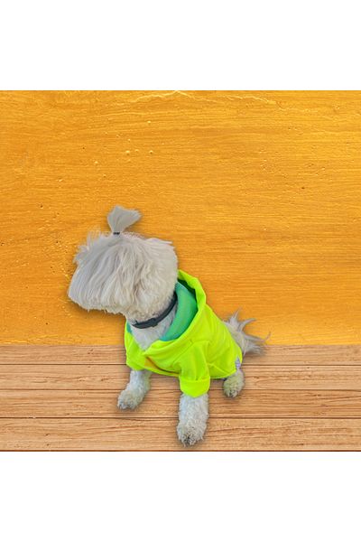 Oli and Lui Neon Yellow Softshell Dog Raincoat