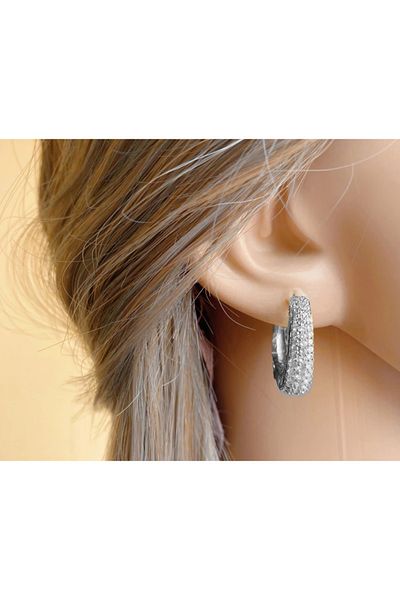 reyselstyle Zircon Stone Luxury Hoop Earrings