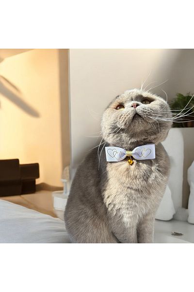 Melo White Heart Detailed Ribbon Cat and Small Breed Dog Collar