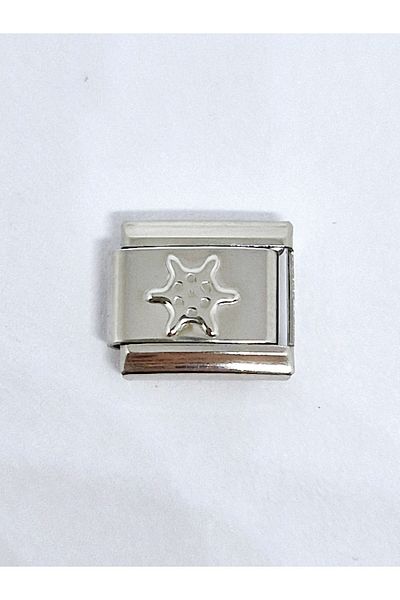 RoseCo00 Italian Steel Bracelet Charm