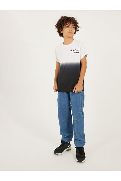 Styli Ombre Print Round Neck Regular Fit T-Shirt
