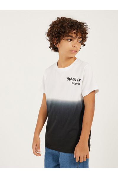 Styli Ombre Print Round Neck Regular Fit T-Shirt