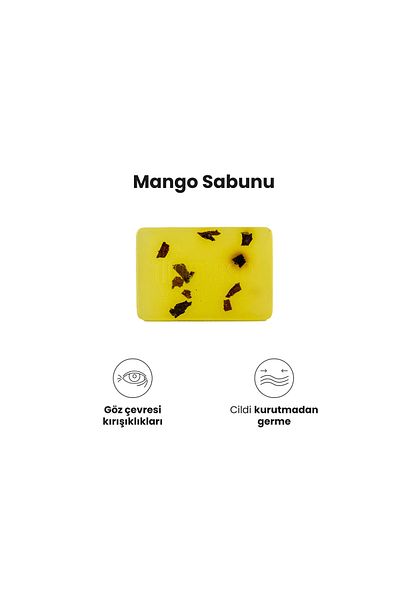 dionesse 100% Natural Mango Wrinkle Soap - Handmade