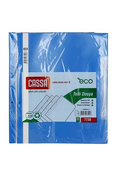 Cassa Brand: Plastic Wire File Blue 2 Packs of 50 (100 Pieces) Category: Files