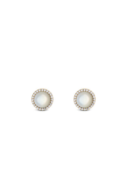 Daniel Wellington Audrey Earrings Mother of Pearl Gold