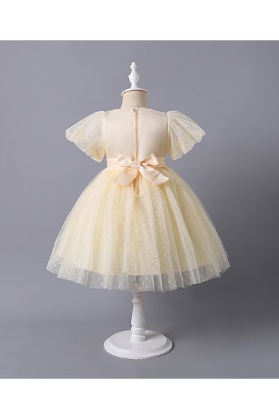 Mark & Mia Mark & Mia Embroidered Party Dress - Champagne