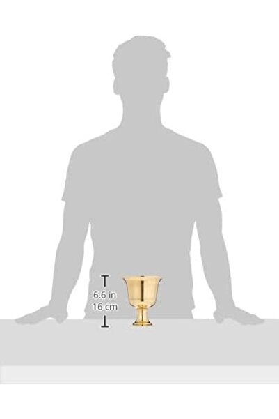 RAJ BMS002 12cm Brass Mortar & Pestle – Manual Grinder, Garlic Crusher, Spice Mixer, Chutney Maker