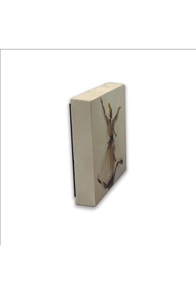 Sadrazam Magnet din piatră naturală imprimat Whirling Dervish 5x5 Krt-74