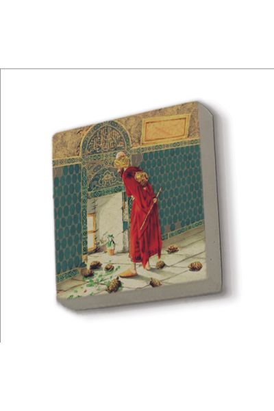 Sadrazam Turtle Trainer Picture Printed Natural Stone Magnet 5X5 Krt-127