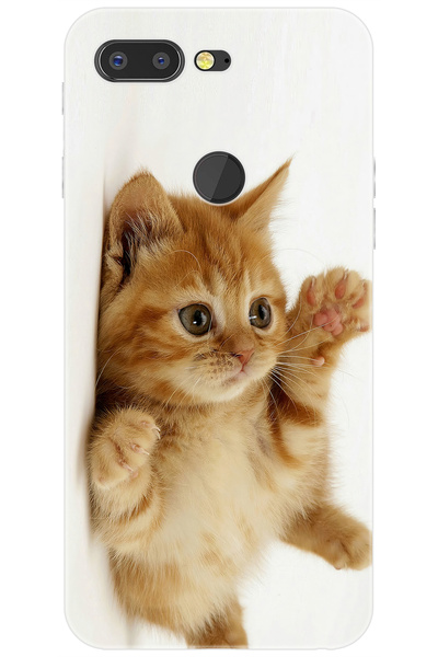 General Mobile GM 9 PRO Uyumlu Kılıf Desen Baskılı Silikon Sevimli Kedi STK:2...