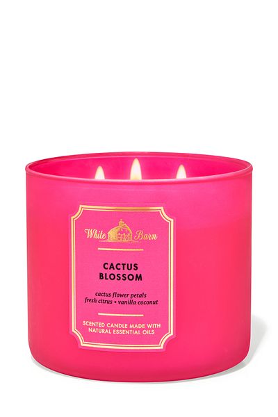 Bath & Body Works شمعة زهرة الصبار ذات الثلاث فتائل