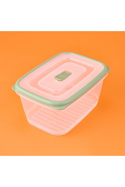 Gondol Plastic Storage Container - Transparent / Green - 1.7 Lt