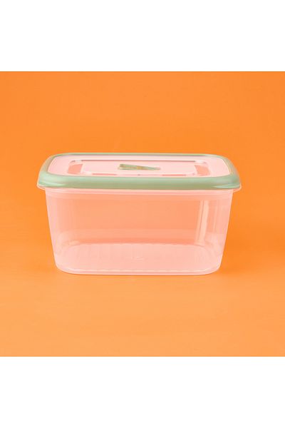 Gondol Plastic Storage Container - Transparent / Green - 1.7 Lt