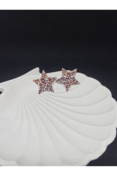 staınless steel Leopard Star Earrings, Brown