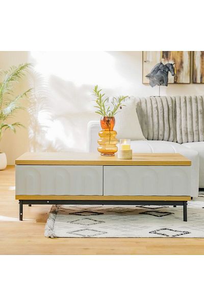 Danube Home Delmar Centre Table with 2 Drawers  L120xW60xH42cm - Natural/Grey