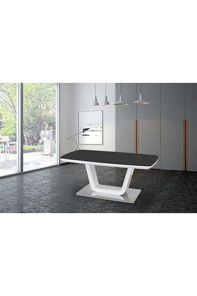 Danube Home Salvador Coffee Table  L110xW60xH45cm - Black / White