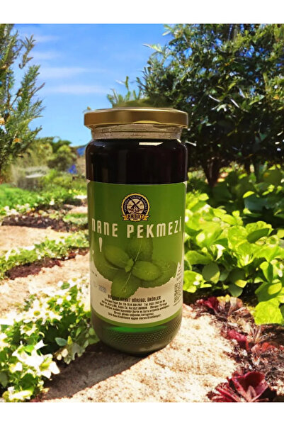 Burdur Hasat 700 ml Doğal Nane Pekmezi