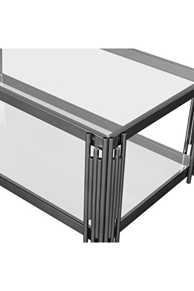 Danube Home Naill Coffee Table L120xW60xH42cm - Stainless Steel