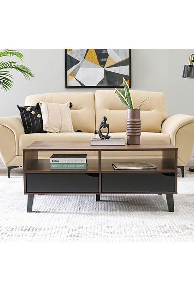 Danube Home Jilly 2 Drawer Coffee Table  L110xW55xH47cm - Columbia/Black